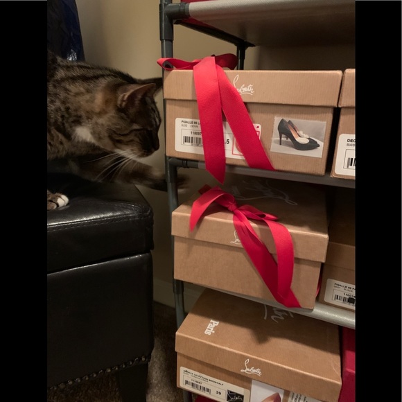 Meet your Posher, Kris - Picture 5 of 10